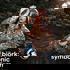 Björk: Sonic Symbolism