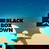 Black Box Down