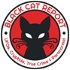 Black Cat Report | UFOs, Cryptids, True Crime & Paranormal