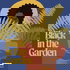 Black in the Garden