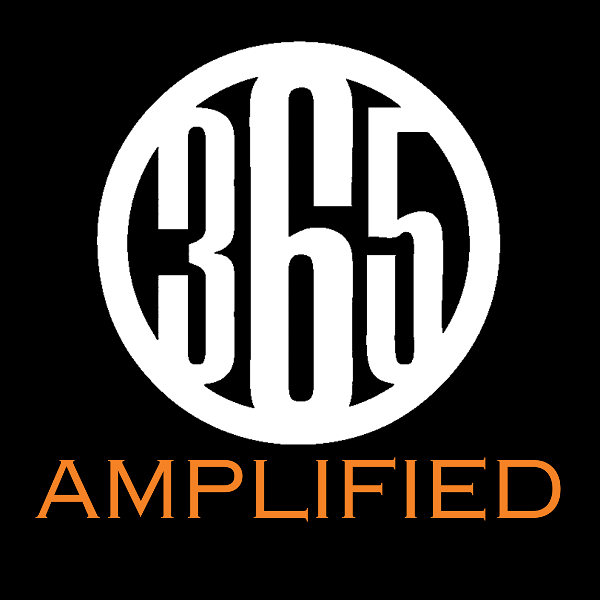 Artwork for 365 Amplified