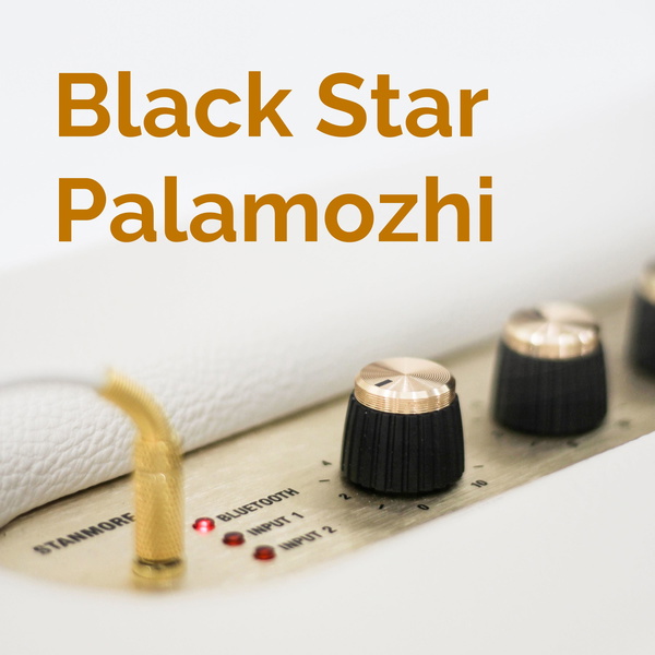 Artwork for Black Star💫 Palamozhi