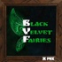 Black Velvet Fairies