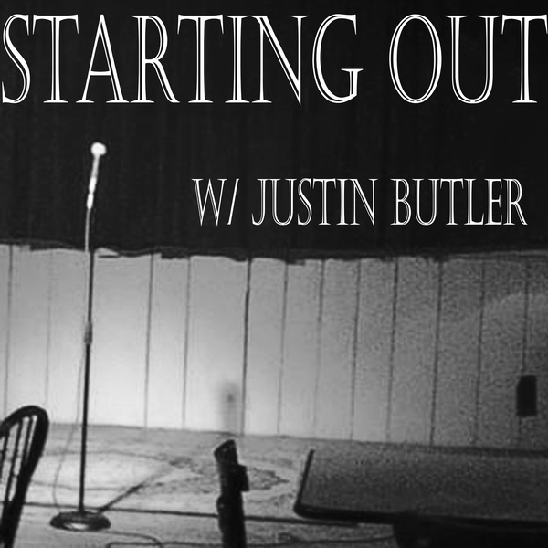 Artwork for Blameitonbutler