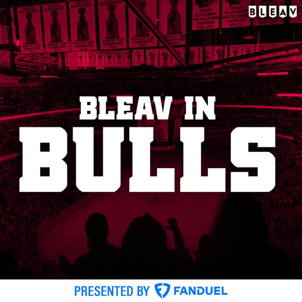 Artwork for Bleav in Bulls