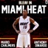 Bleav in Miami Heat