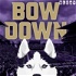 Bow Down: A Washington Huskies Football Podcast