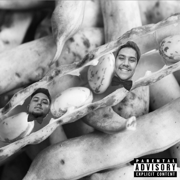 Artwork for Two Beans in a Pod