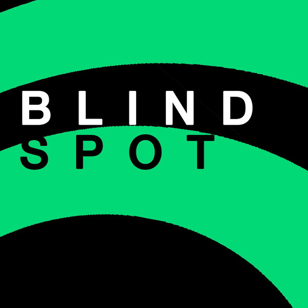 Artwork for Blind Spot: A Look at the Unplayed Songs of Spotify