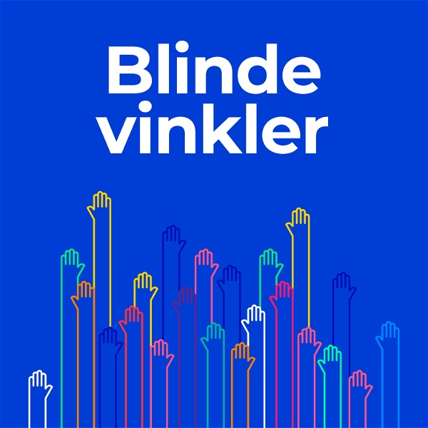 Artwork for Blinde Vinkler -