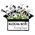 Bloom Box: Growing Deeper