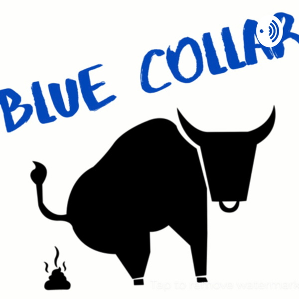 Artwork for Blue Collar Bullshit