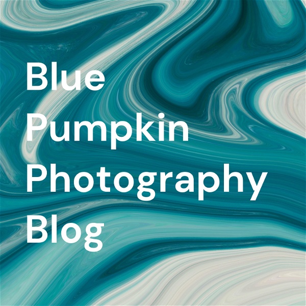 Artwork for Blue Pumpkin Photography Blog
