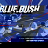 Blue Rush - New York Giants Podcast