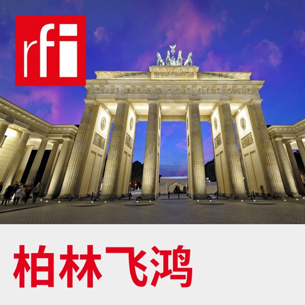 Artwork for 柏林飞鸿