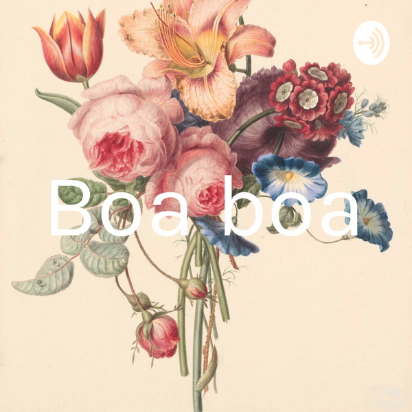 Artwork for Boa boa