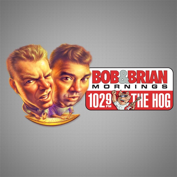 Artwork for Bob and Brian Podcasts