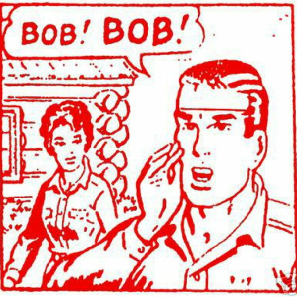 Artwork for bobcast