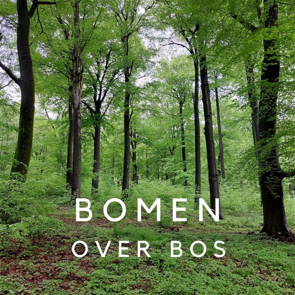 Artwork for Bomen over bos