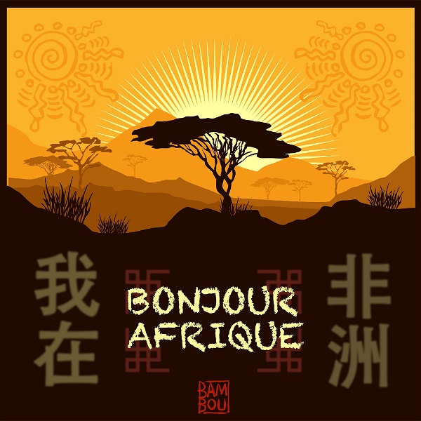 Artwork for Bonjour Afrique