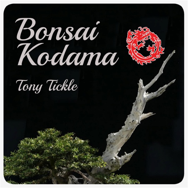 Artwork for Bonsai Kodama