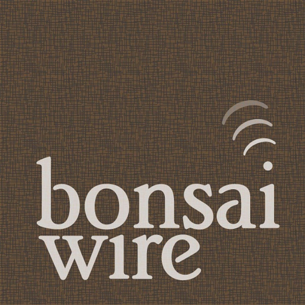 Artwork for Bonsai Wire