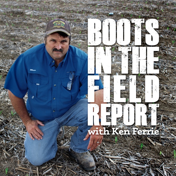 Artwork for Boots In The Field Report
