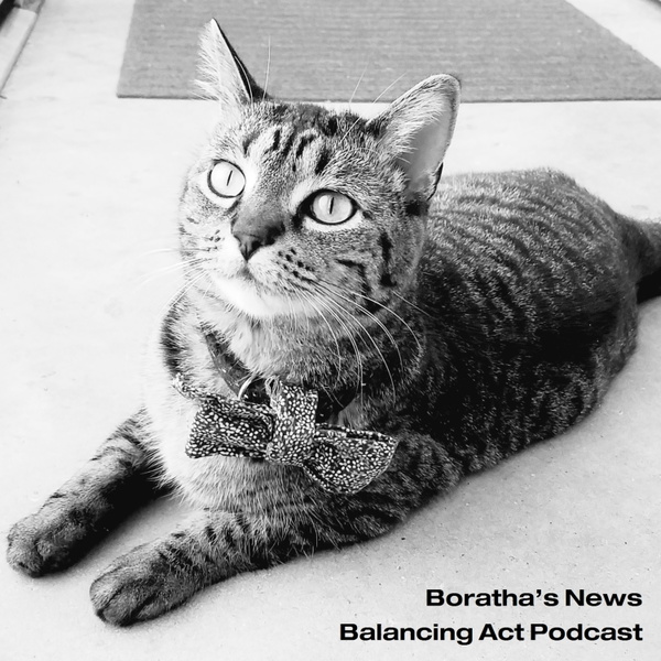 Artwork for Boratha's News Balancing Act