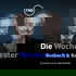 Bosbach & Rach - Die Wochentester