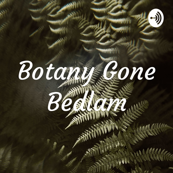 Artwork for Botany Gone Bedlam