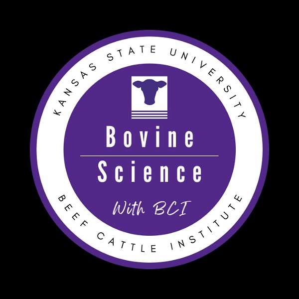 Artwork for Bovine Science with BCI