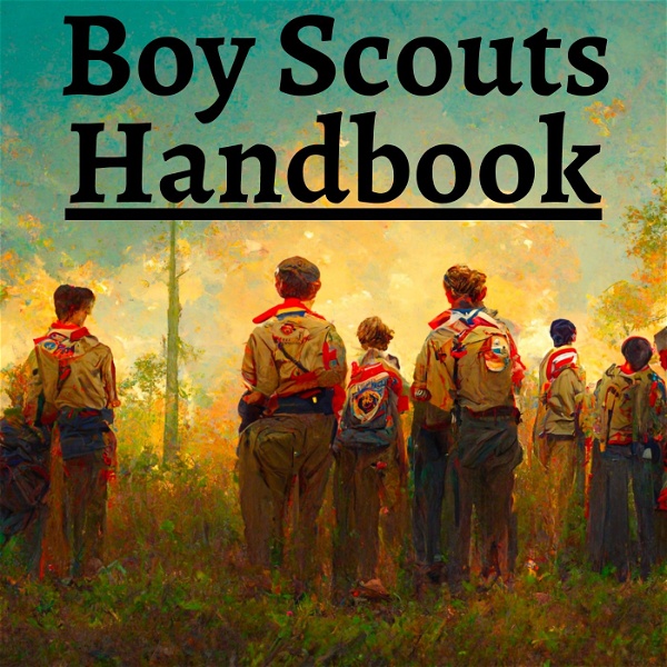 Artwork for Boy Scouts Handbook