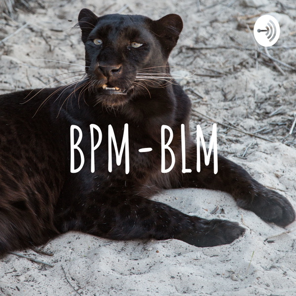 Artwork for BPM-BLM
