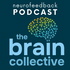 Brain Collective Podcast - A Revolution In Neurofeedback