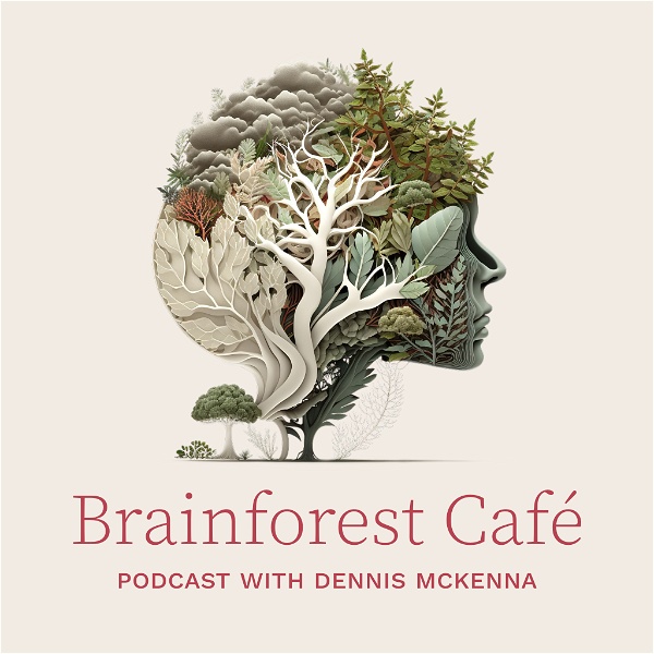 Artwork for Brainforest Café