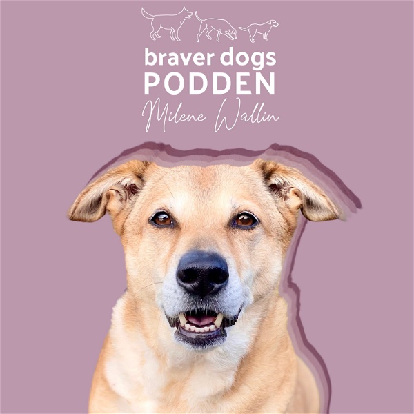 Artwork for Braver Dogs Podden