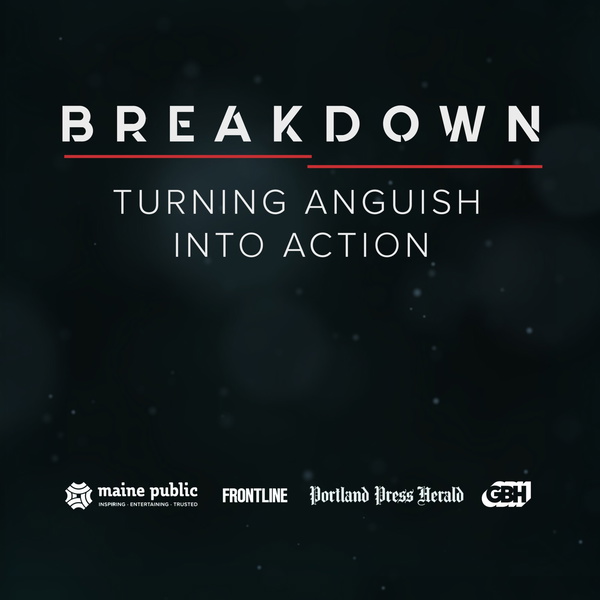 Artwork for Breakdown: Turning Anguish Into Action