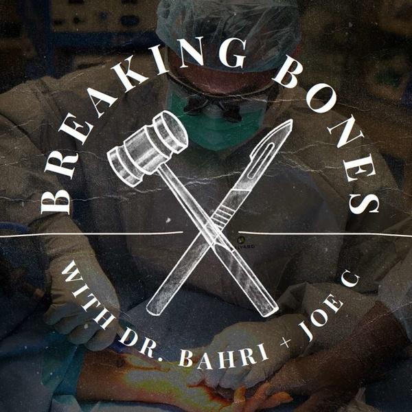 Artwork for Breaking Bones