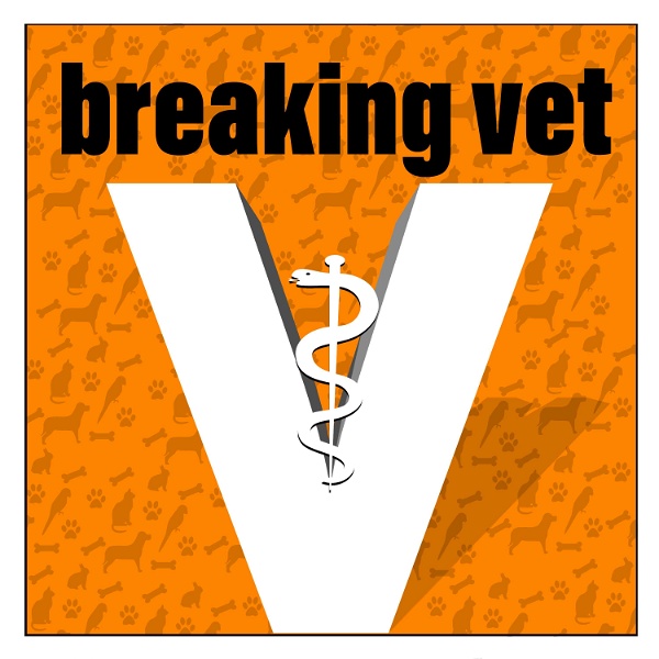 Artwork for breaking vet