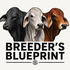 Breeders Blueprint