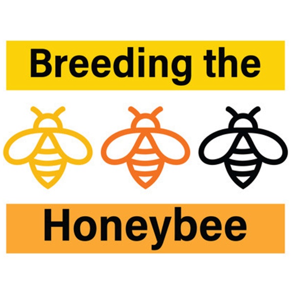 Artwork for Breeding the Honeybee