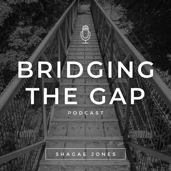 Artwork for Bridging the Gap