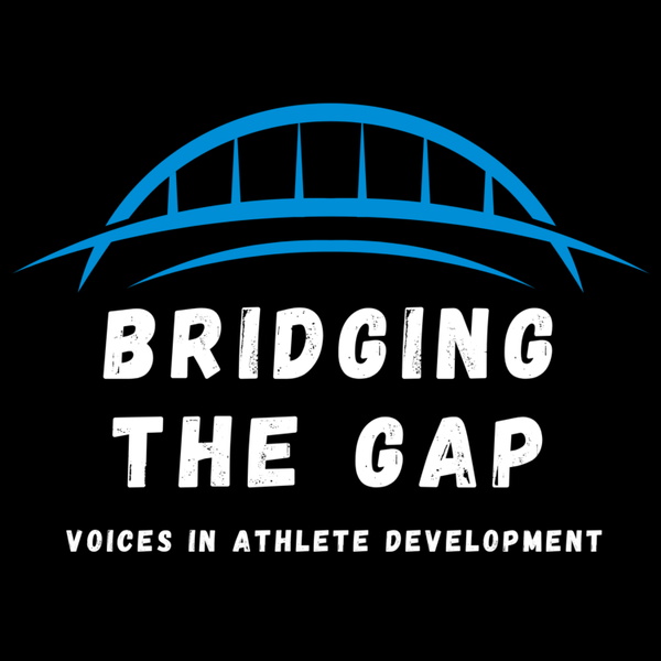 Artwork for Bridging The Gap