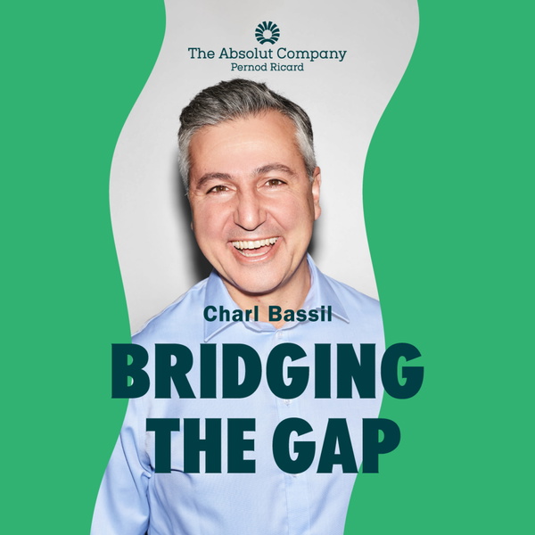 Artwork for Bridging the Gap