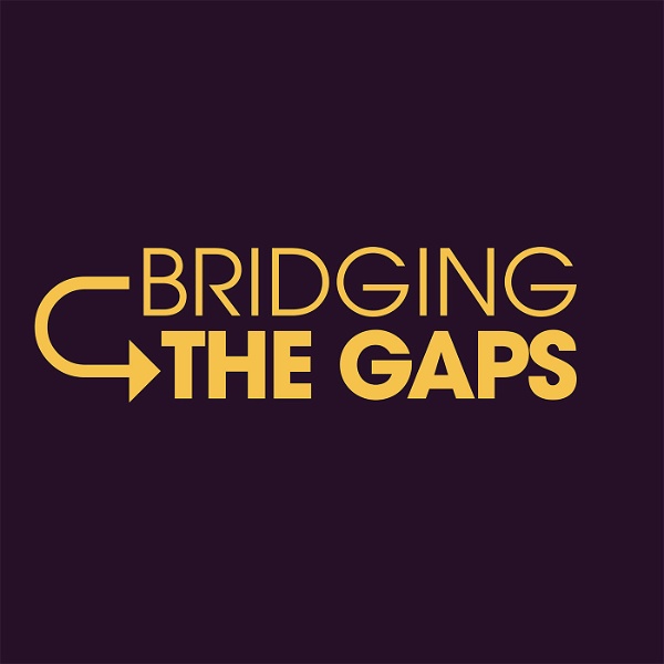Artwork for Bridging The Gaps