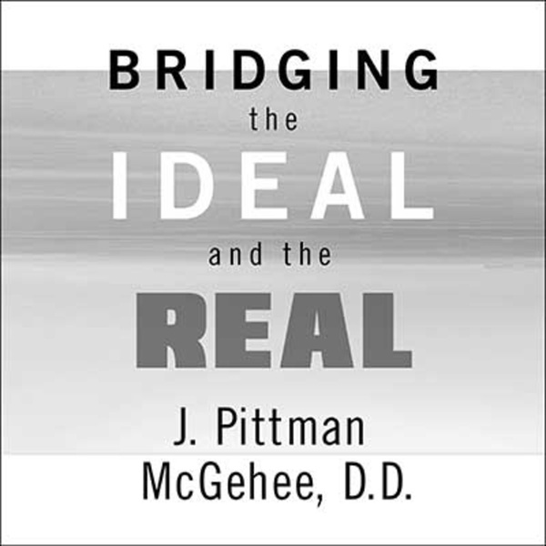 Artwork for Bridging the Ideal and the Real