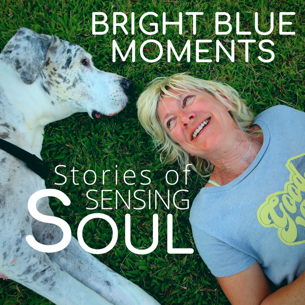 Artwork for Bright Blue Moments: Stories of Sensing Soul