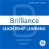 Brilliance: Leadership Learning