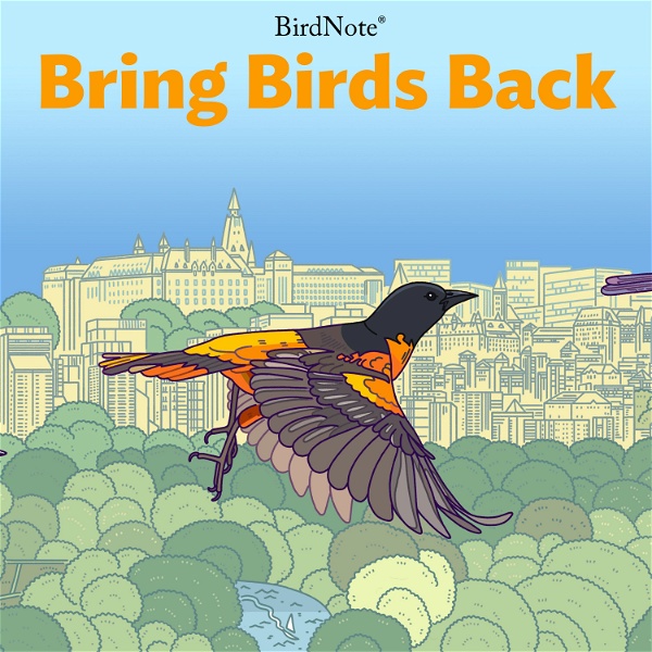 Artwork for Bring Birds Back