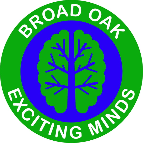 Artwork for Broak Oak Primary School